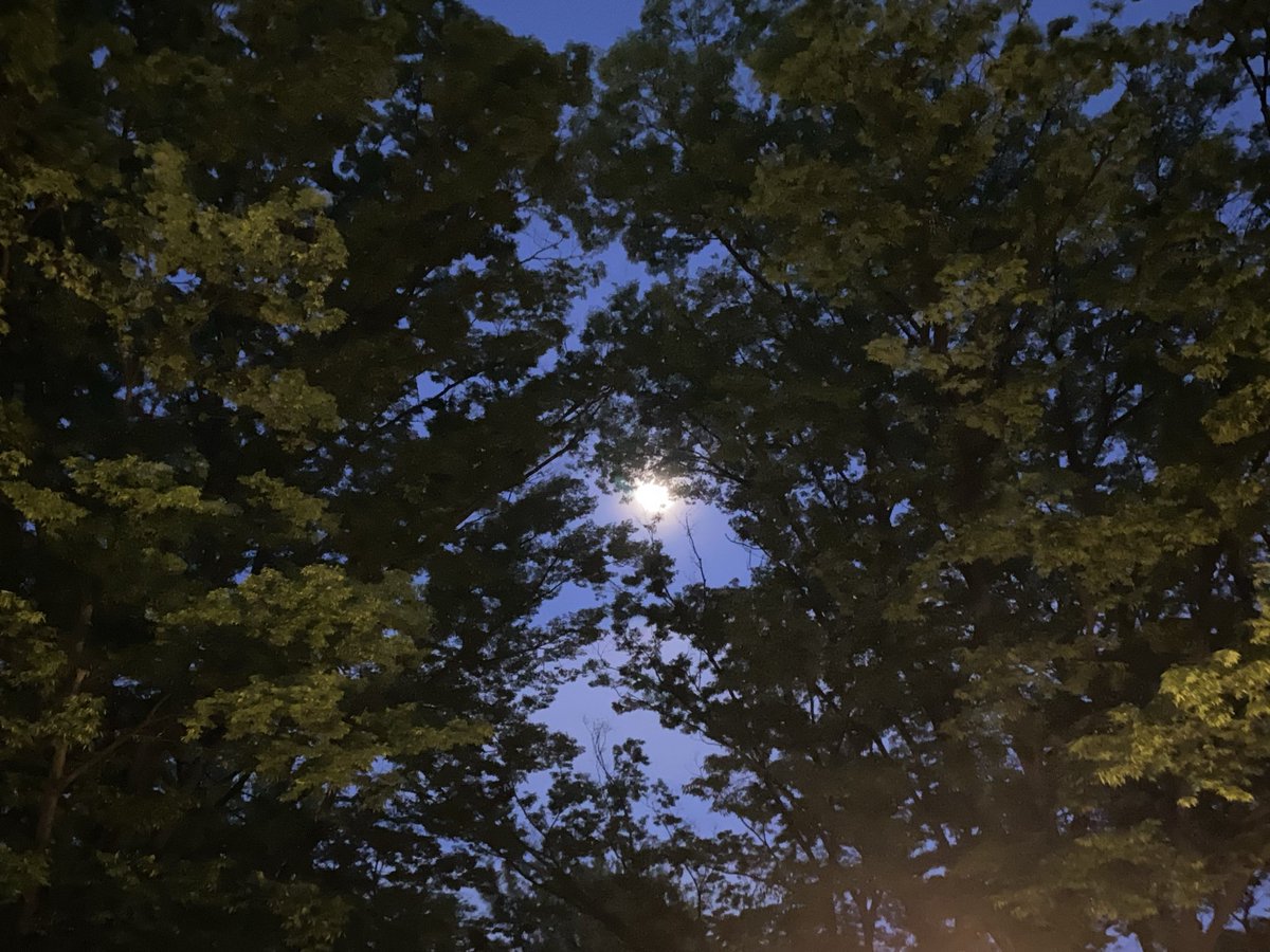 KosukeMurakami_'s tweet image. 出会った瞬間、真っ直ぐに繋がった関係は、それまでに積み重ねた時間やら何やら関係なしに、どこまでも深く、固く、結ばれていくものだと、信じさせてくれた１本と出会った…

#moon
#moonlight 
#月
#つき
#movie 
#cinema 
#theater 
#映画 
#えいが