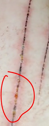 mother 𖦹 shedtwt tweet media