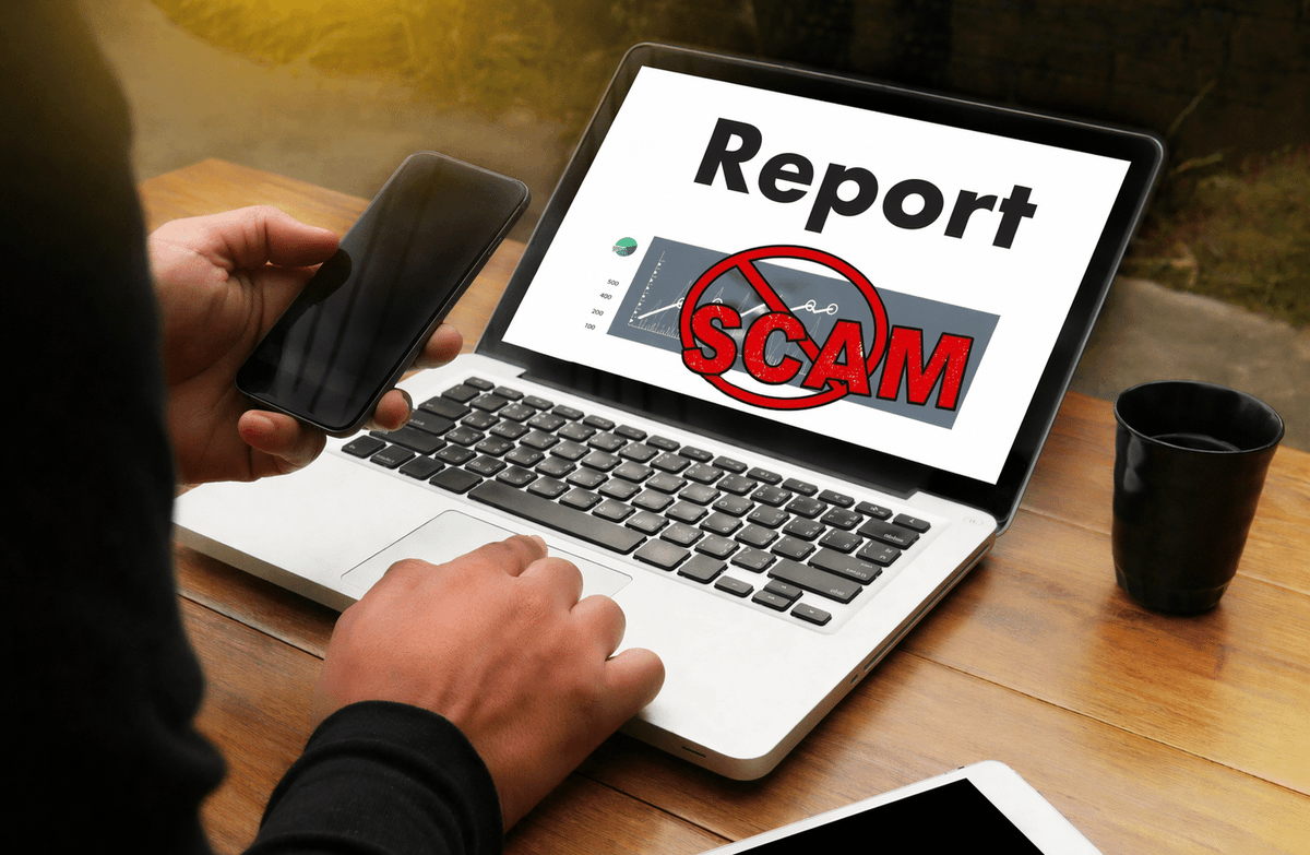 KO Websites tweet media
