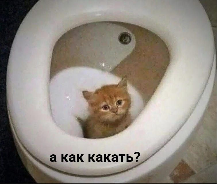 clockwork tweet media