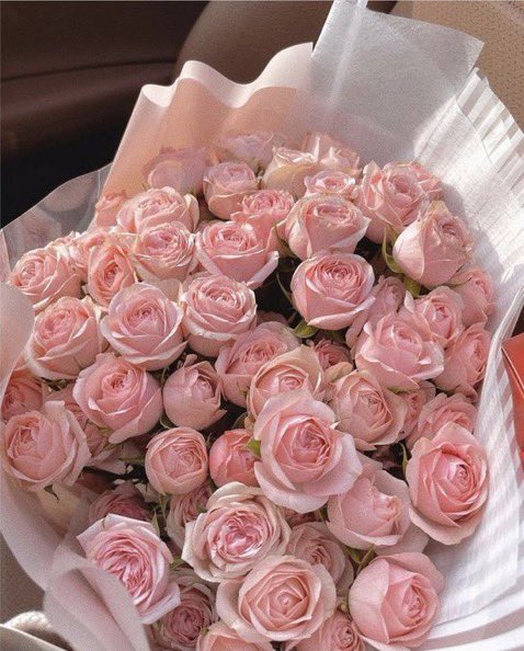 pink-⁷ • Enhypen is 7 ॱൄ ❀ tweet media