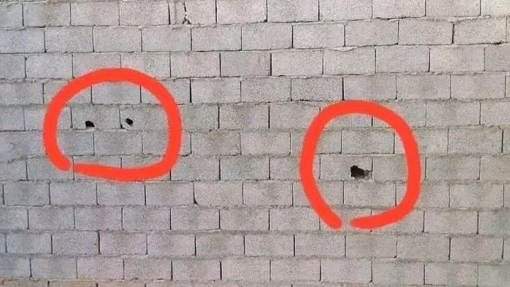 عبدالله tweet media