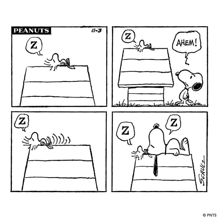 Charles M. Schulz