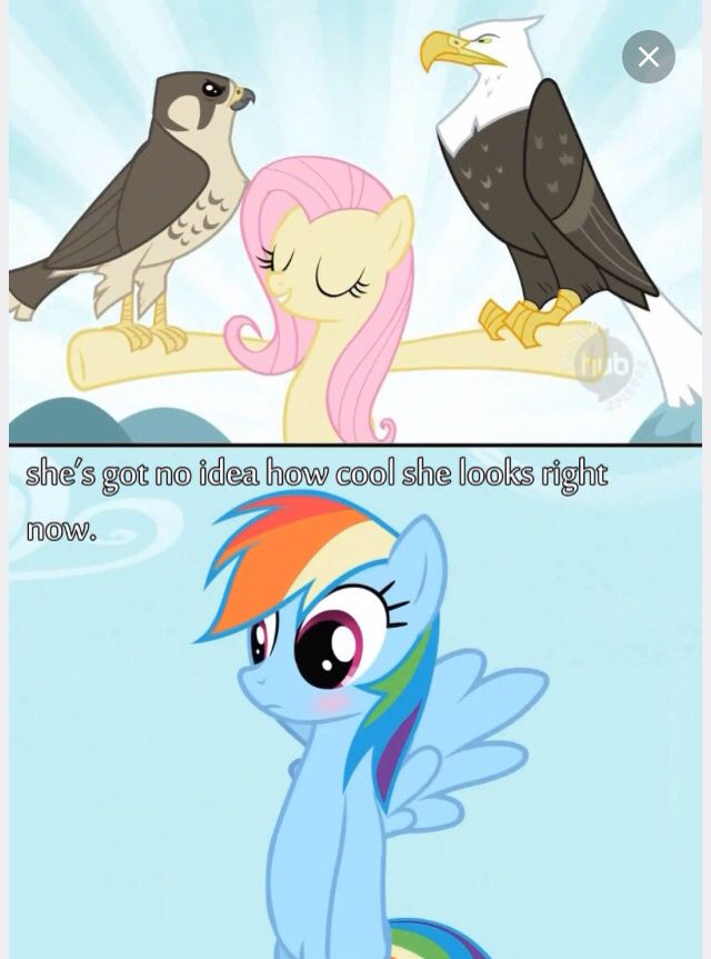PupRockPony's tweet photo. #FlutterDash https://t.co/PCgPuvAdVU