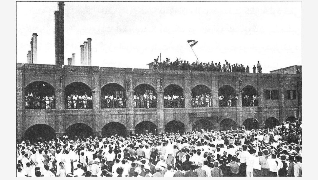 M. Reza Rahmani tweet media