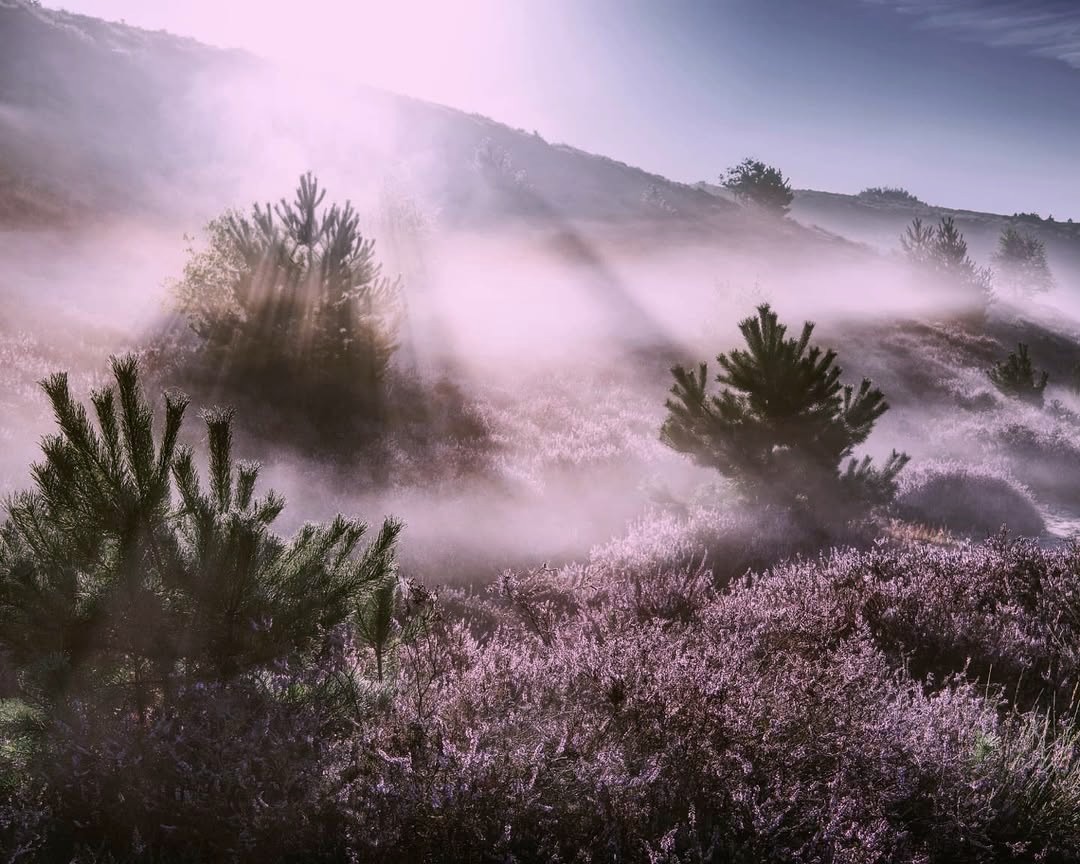 True inner wisdom emerges from moments of calm, deliberate contemplation.