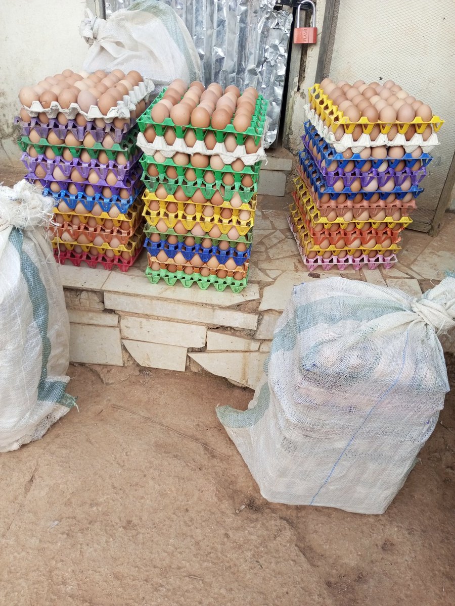 Tope A teacher & A Farmer I Will Never Give Up 💪) tweet media