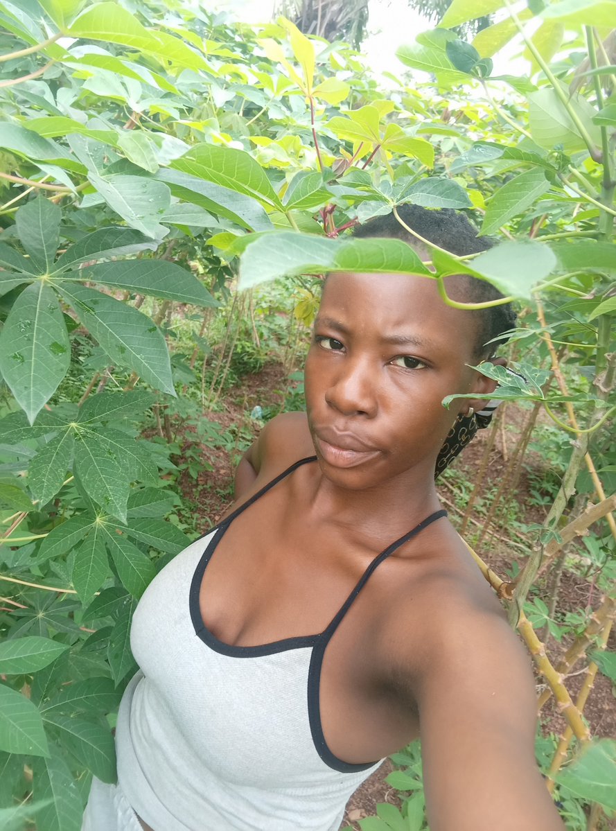 Thegal🌹 tweet media