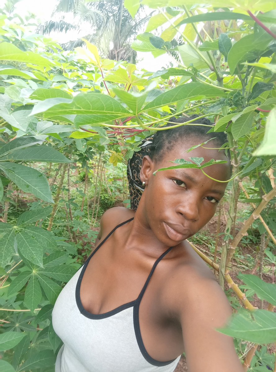 Thegal🌹 tweet media