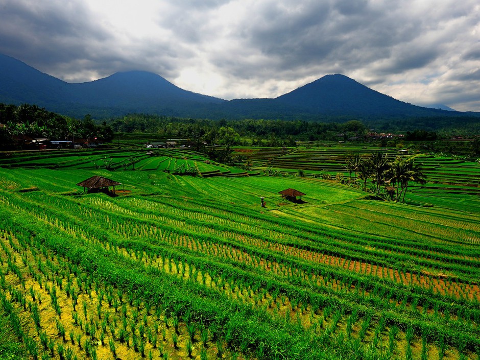 yomelijah's tweet image. #java #jawatimur #Jawa #gusti #Yesus #Kristus #yesuskristus #kitab #indonesia #malaysia
Kaelokan Yesus Kristus kanggo nguatake iman ing pangarep-arep urip langgeng (Klik link ing ngisor iki kanggo ngakses artikel sinau Alkitab): yomeliah.fr/meditacion-sob…