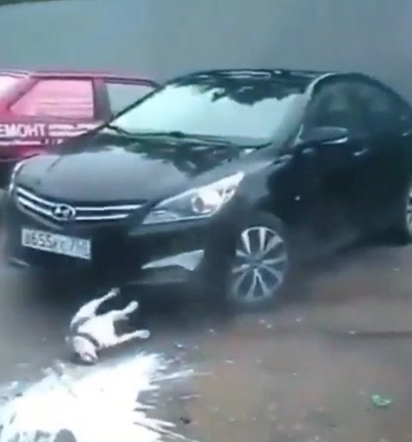 aly 🍋 tweet media