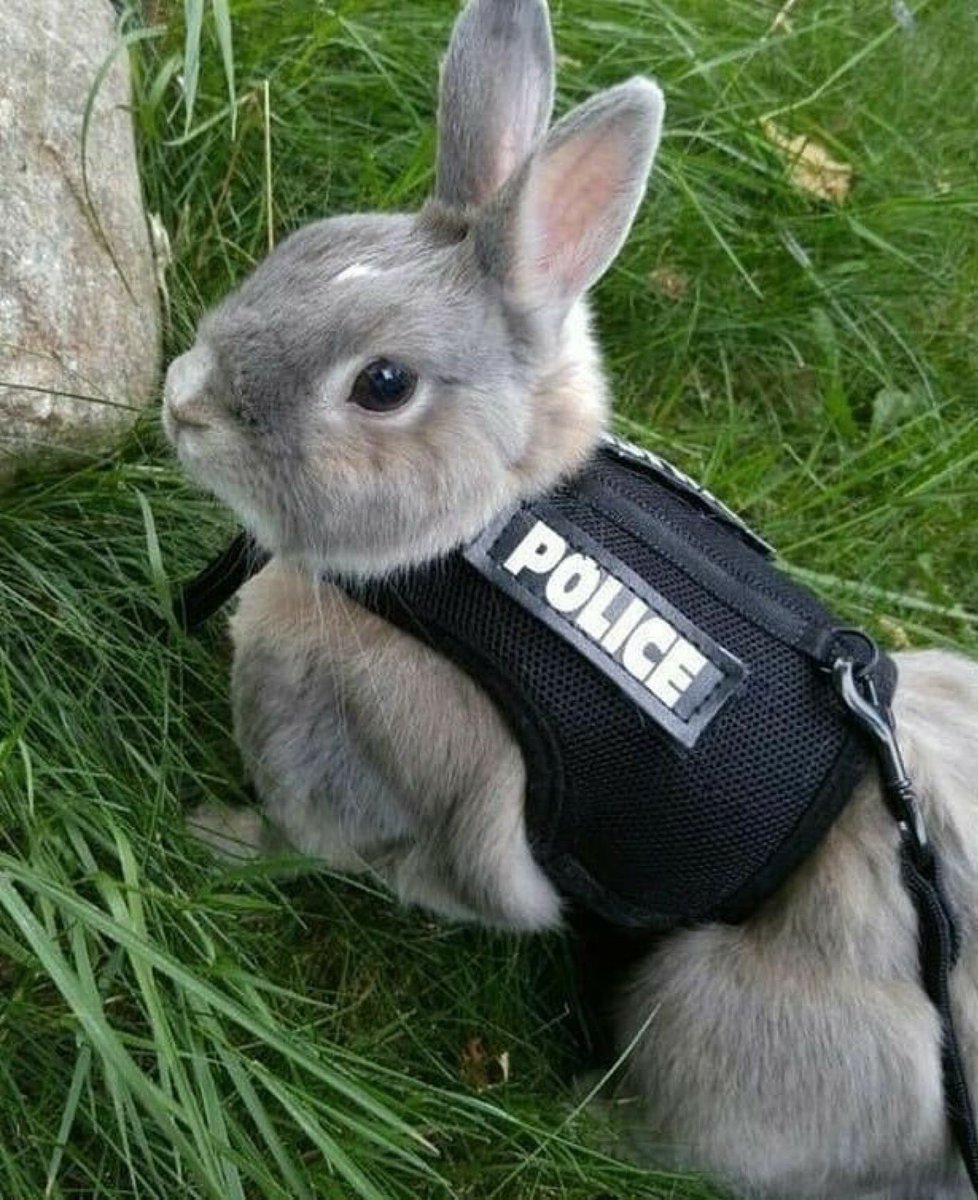 czarina55 👑 tweet media