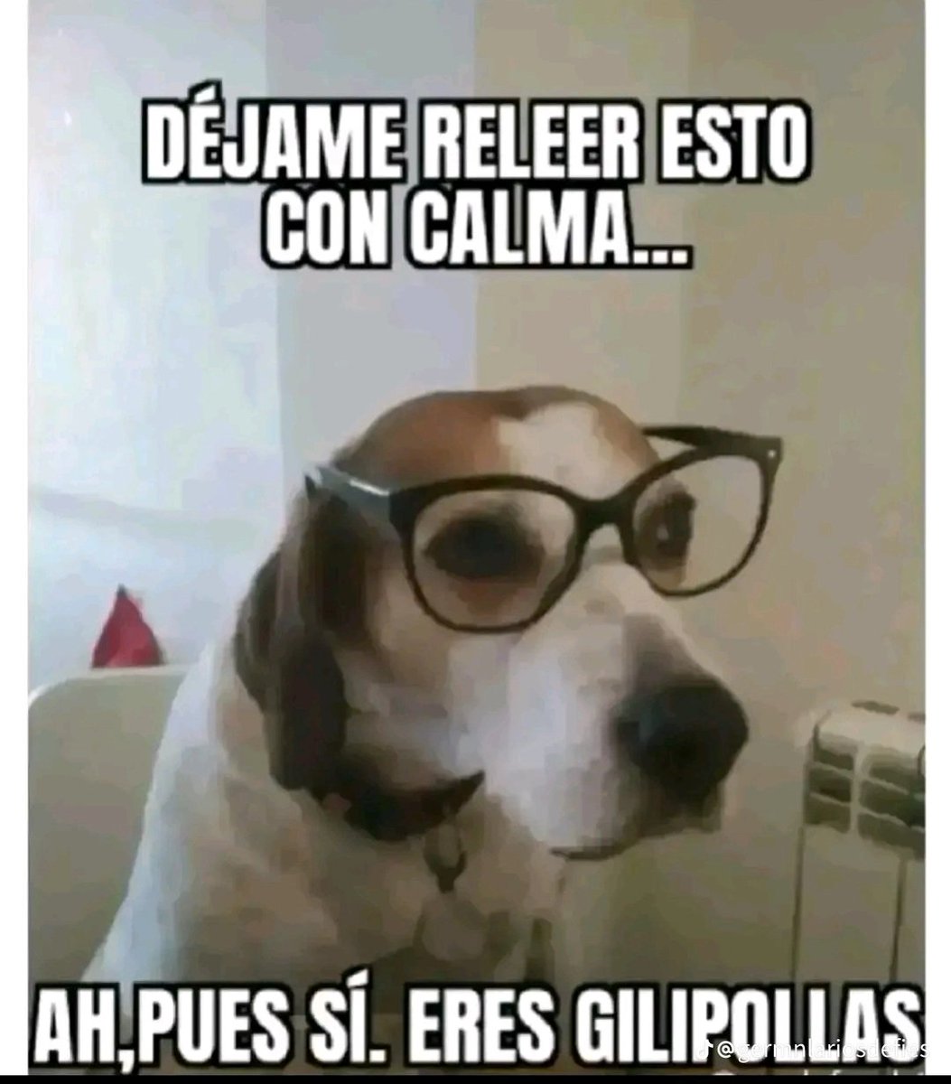 Barrabás 🖤♥️ tweet media