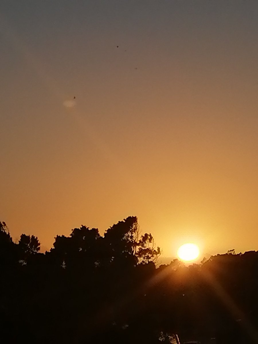 SobAlert's tweet image. Full up with @SobAlert energy at the beginning of a new day and even during the day or night.
#SobAlert
#Energy
#healthylifestyle