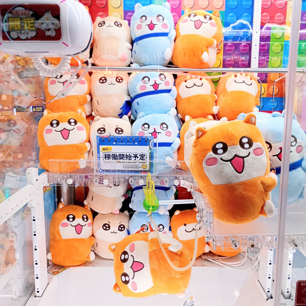 ラウンドワン町田店 tweet media