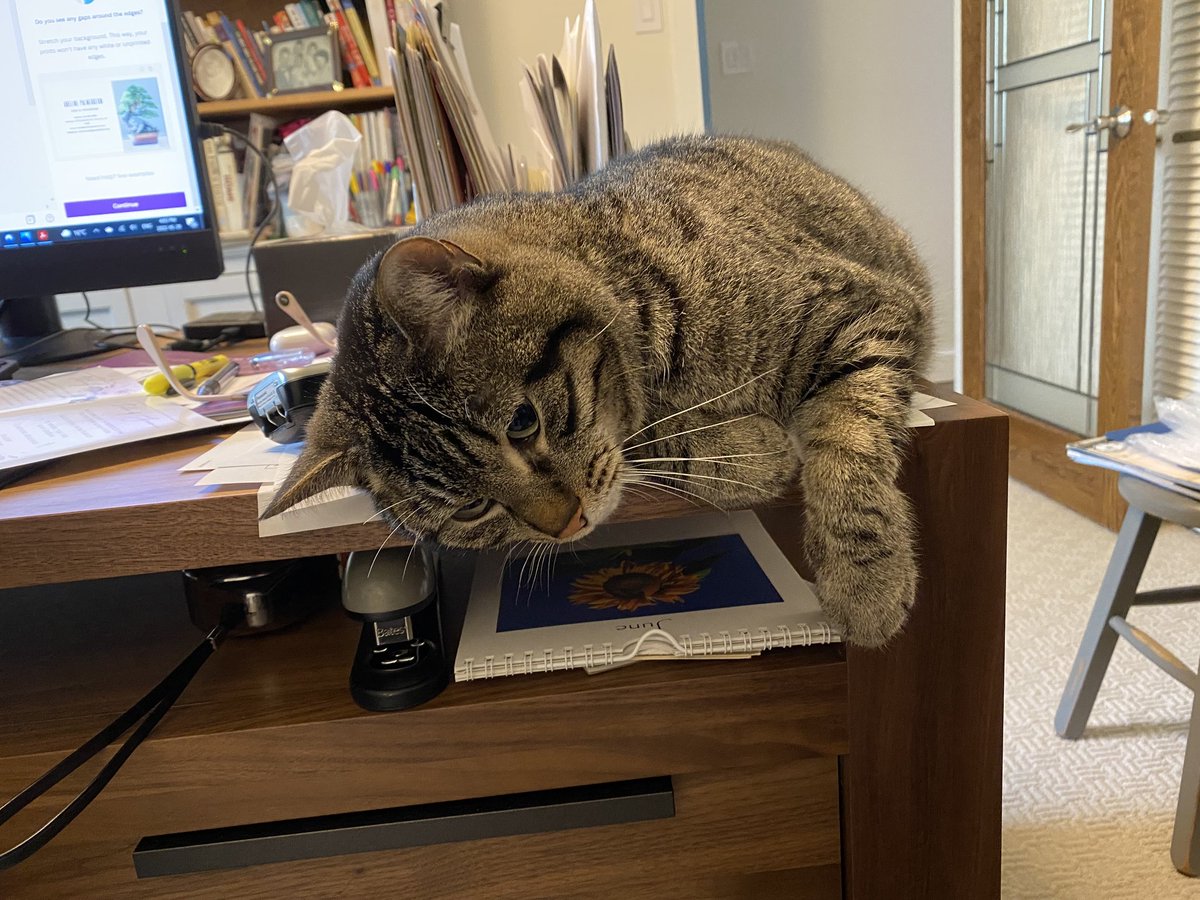 CarneyPurr67561's tweet photo. Today I am announcing a clean water initiative along with Deputy Purr Minister @FredCanCat &amp; Environment Meownister @KreisMr to ensure that all Catnadians have access to clean water! 🐾💧 No more questionable bowls — only the freshest taps for every paw! 😺🇨🇦 https://t.co/4kVy0XzNgB