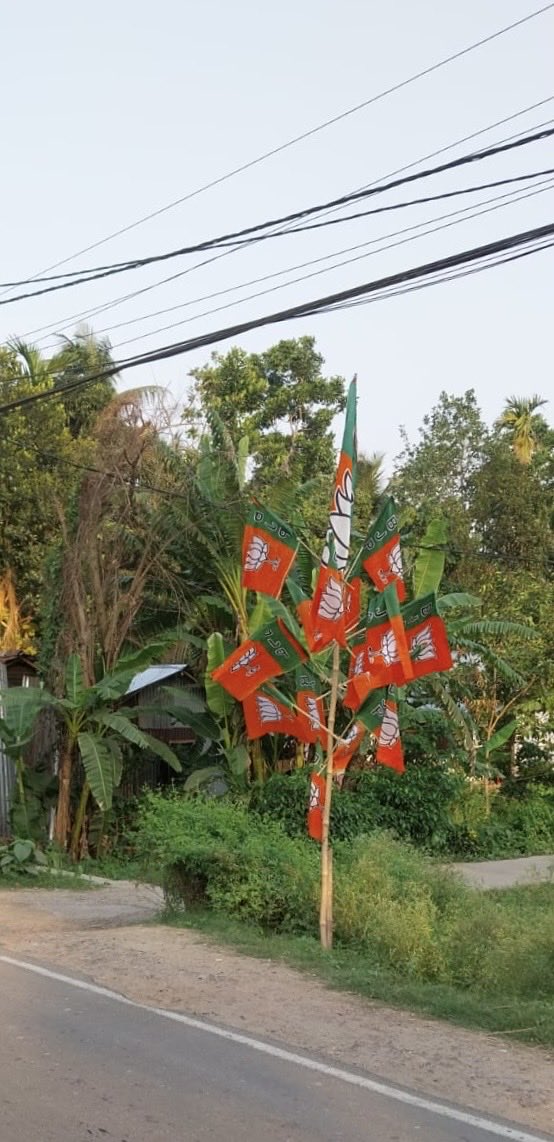 DevendraBanaras's tweet photo. ध्वज वृक्ष Flag tree https://t.co/IPtRX9d6be