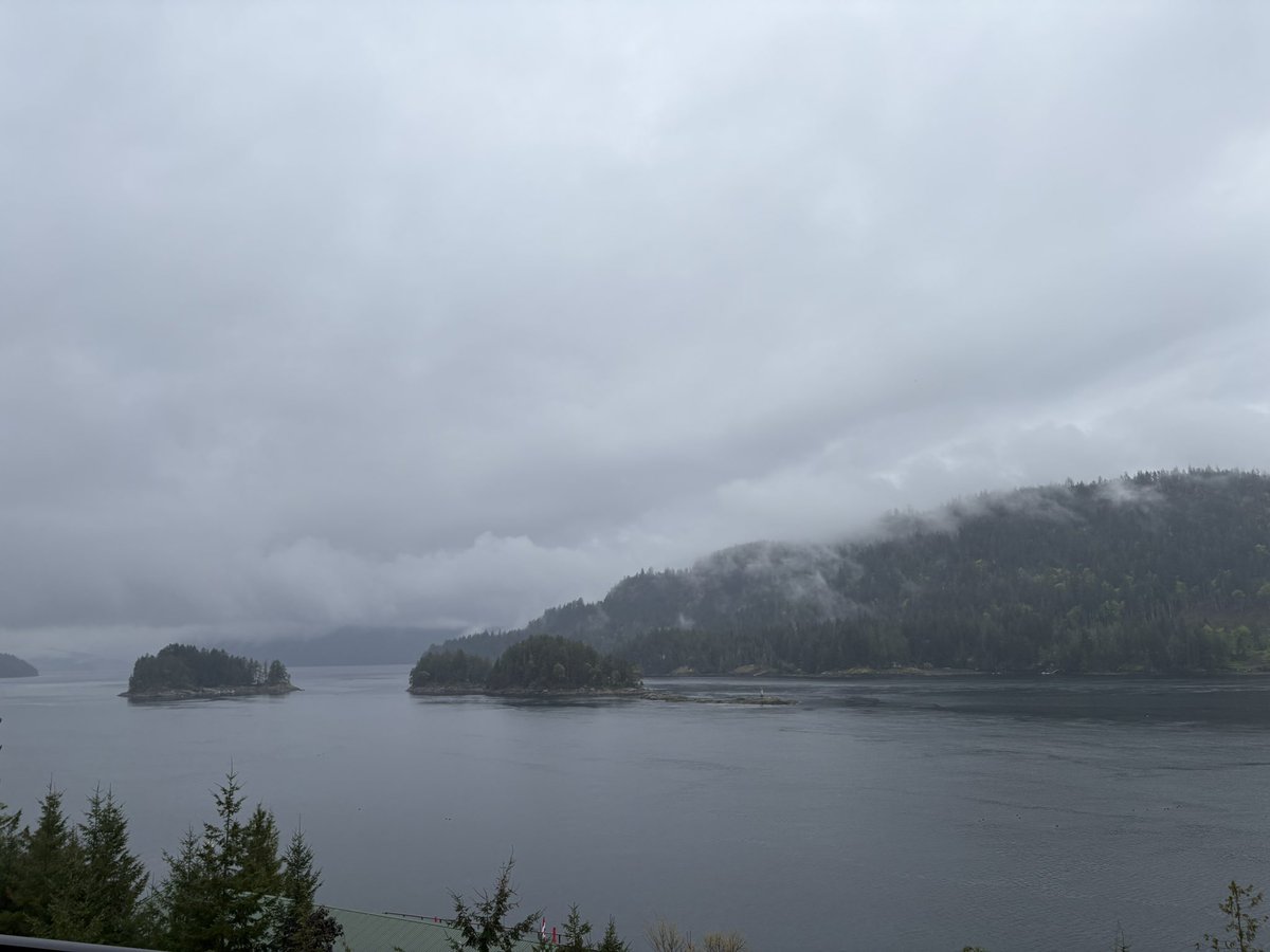 MissLady_A81's tweet image. Misty morning coffee views. #pnw