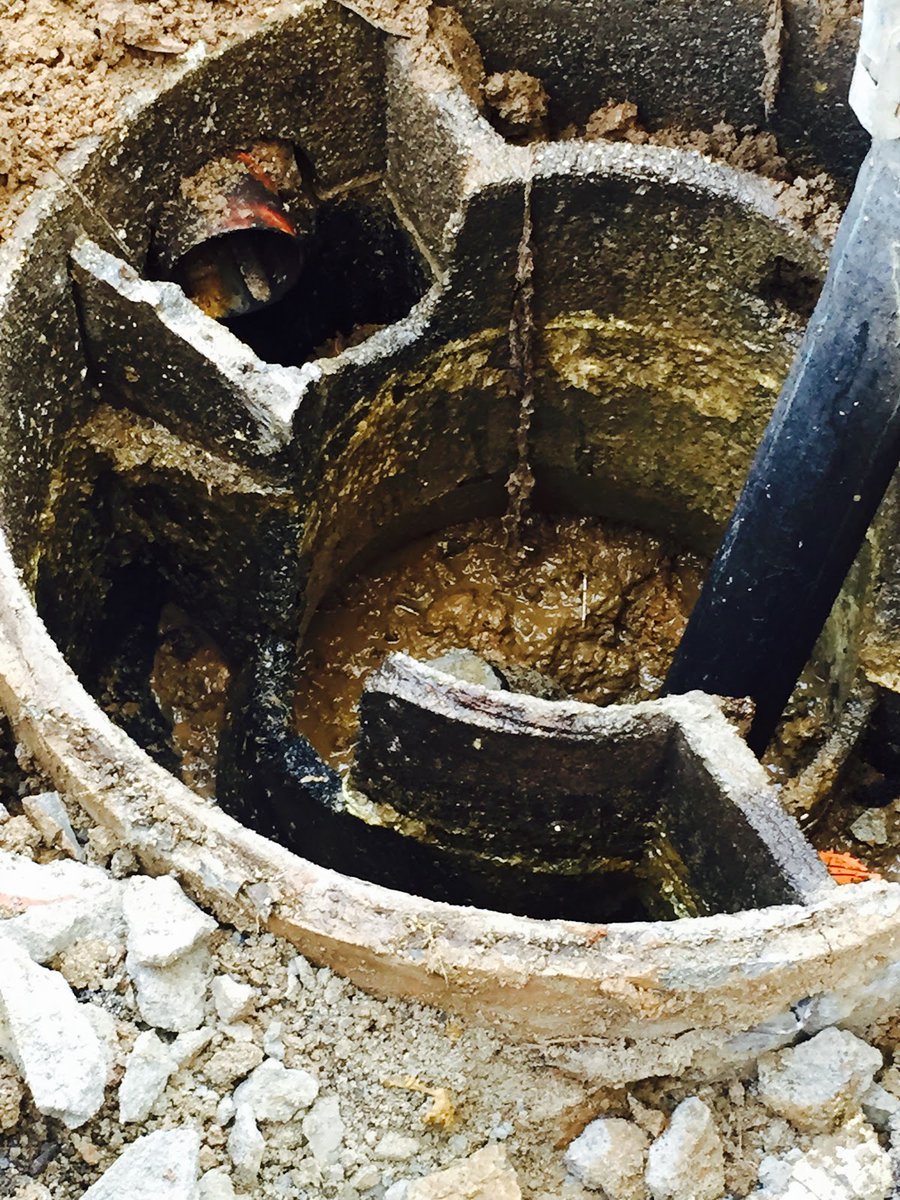 Mini Epsteins in Making 🇮🇱 tweet media