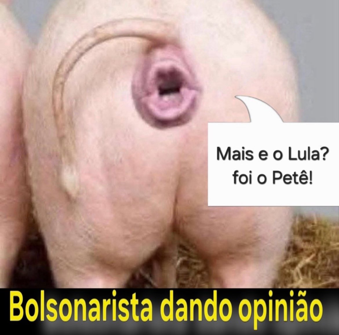 Pop Top Brasil tweet media