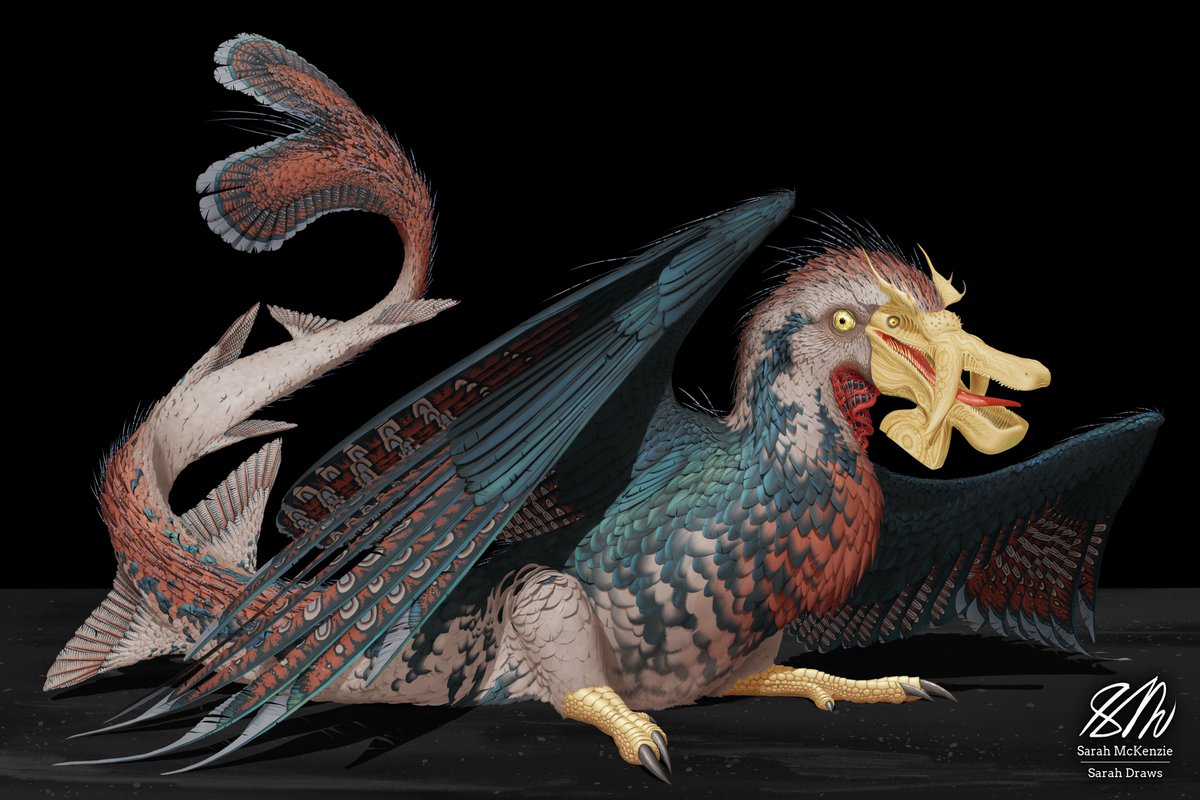 Sarah McKenzie tweet media