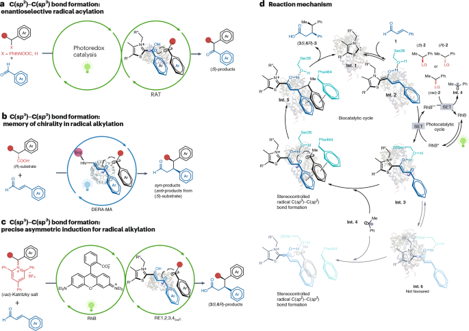 NatureCatalysis's tweet photo. Photobiocatalytic stereocontrol of two prochiral radicals https://t.co/NvkPCyppiS https://t.co/Vi9TU18hBK