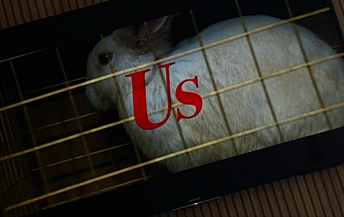 🦚 mary⁷ • JAYPRIL tweet media