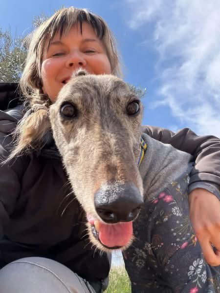 Galgos del Sol tweet media