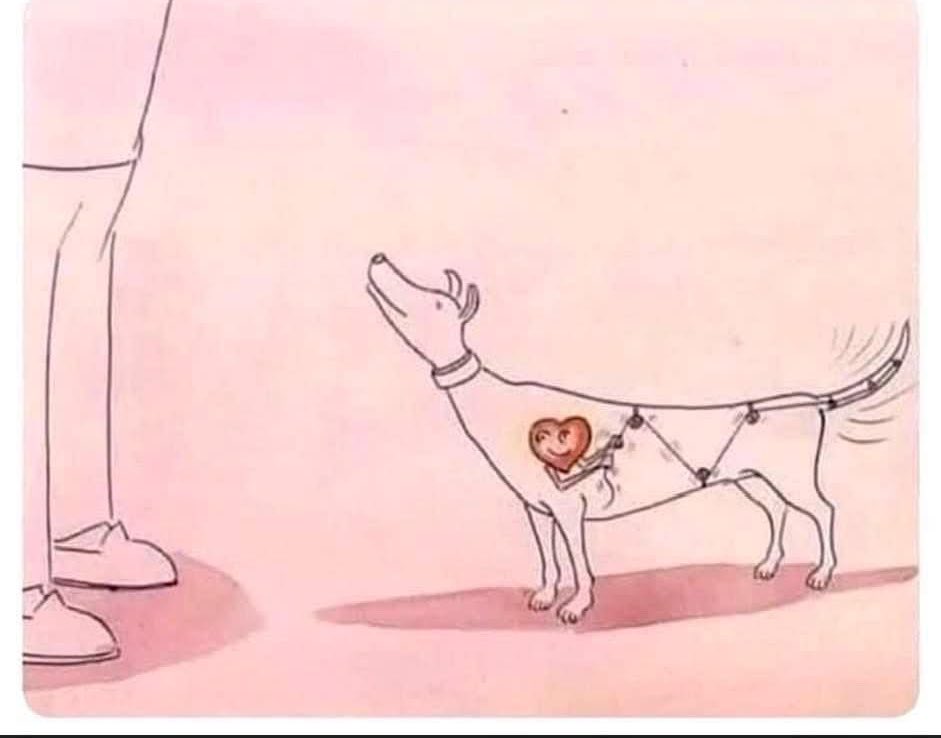 Dilo con perritos tweet media