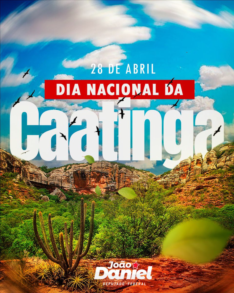 João Daniel tweet media