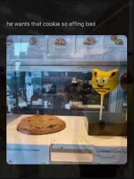 ela🐈‍⬛ tweet media