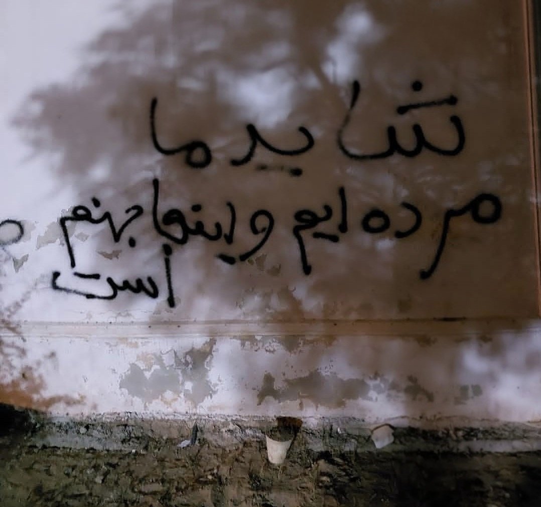 شاپور tweet media