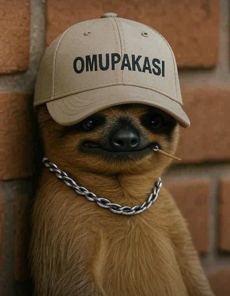 Omupakasi tweet media