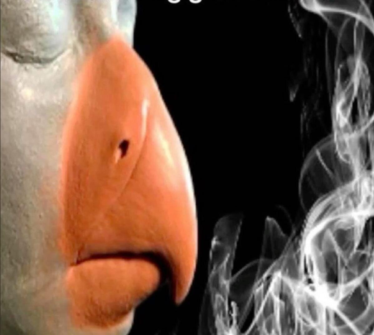 goobmiau's tweet photo. @ccinemamassacre @anarchoboognish me when im in a ‘i cant fucking read’ competition and my opponent is you https://t.co/xNvQnyZJTB