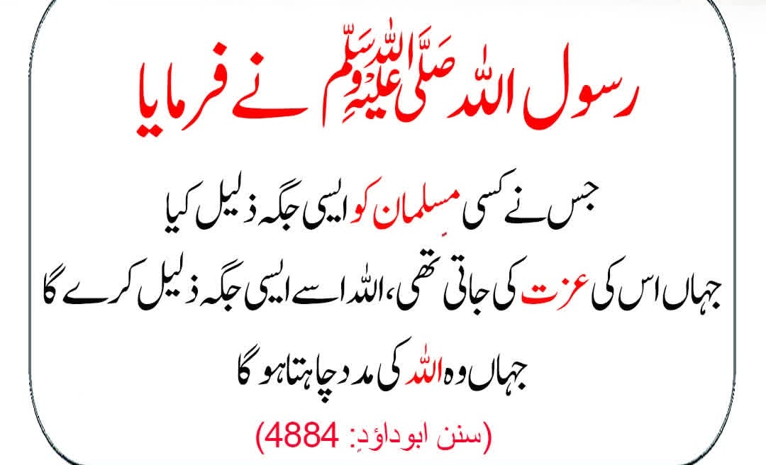𝑫𝒆𝒎𝒐𝒄𝒓𝒂𝒕☂️(عَـیْنَمّْ) tweet media