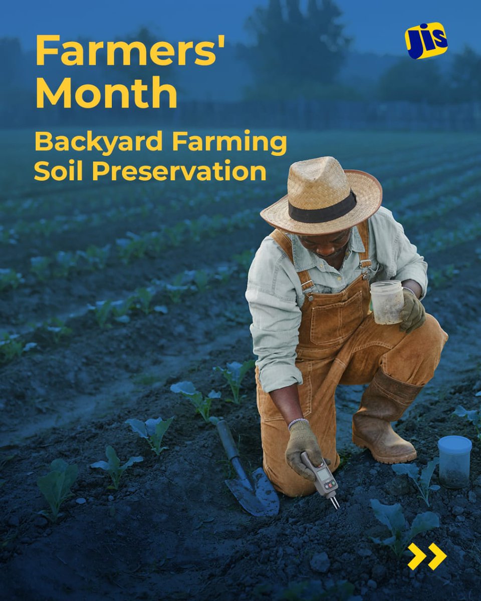 JISNews's tweet photo. Planning to venture into backyard farming?

Follow these tips to keep the soil healthy as you bring your vision to life. 

#agriculture
#farmersmonth
#backyardfarming
#soilpreservation https://t.co/9Sti2Z0pEF