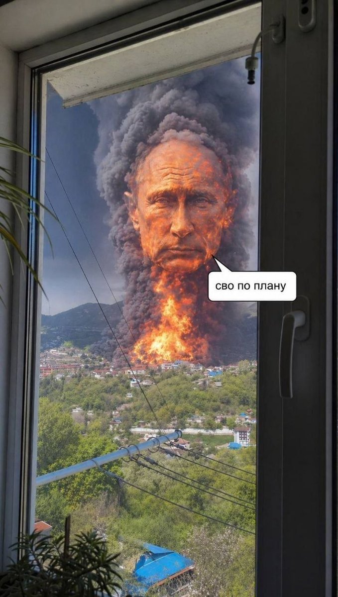 GlobalNews tweet media