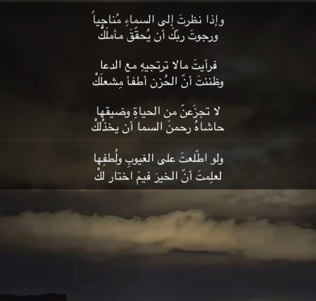 جودي ❤️🩹. tweet media