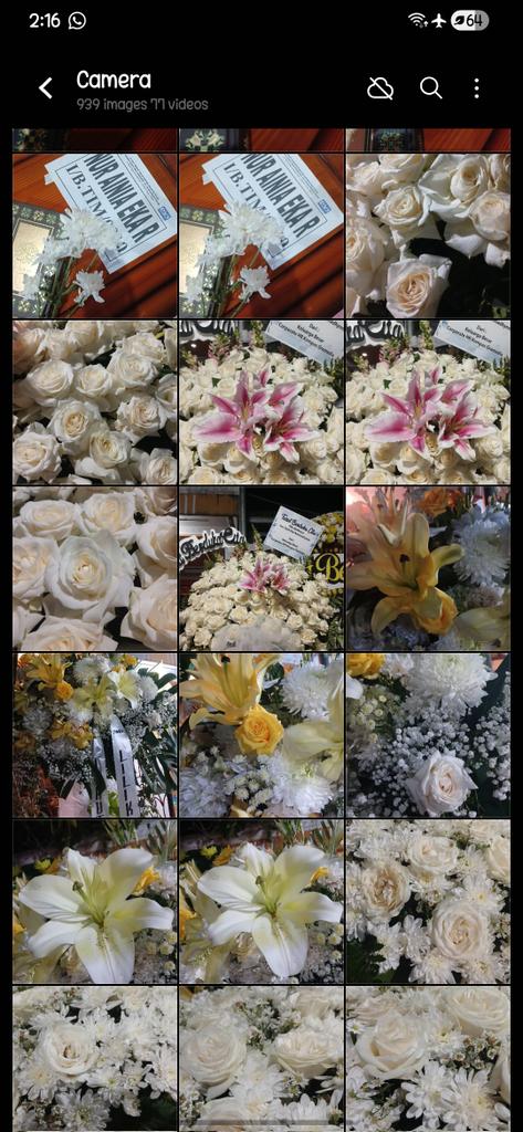 🇵🇸🍉 tweet media