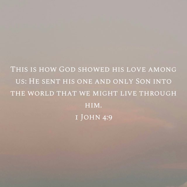 Texas Patriot tweet media