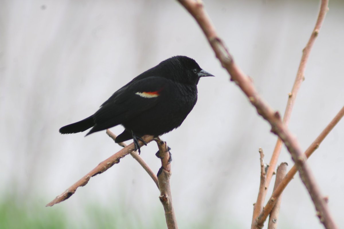 mistresskittykisses tweet media