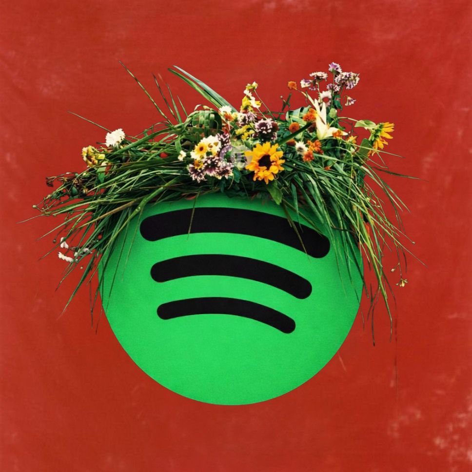 🚨 Anitta mantém 5 músicas do "EQUILIBRIVM" no Spotify Brasil:

#44. “Desgraça” — 328,747 (+24)
#65. “Meia Noite” — 266,856 (+42)
#76. “Choka Choka” — 251,646 (+37)
#80. “Mandinga” — 246,037 (+49)
#192. “Caminhador” — 155,130 (RE)