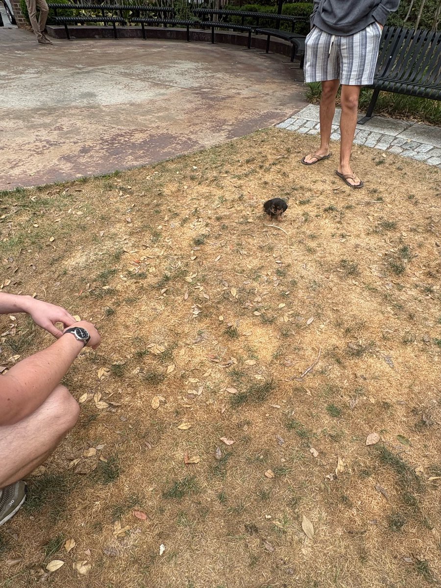 GOGETTAHBILL's tweet image. Big world for little arch #littleguy