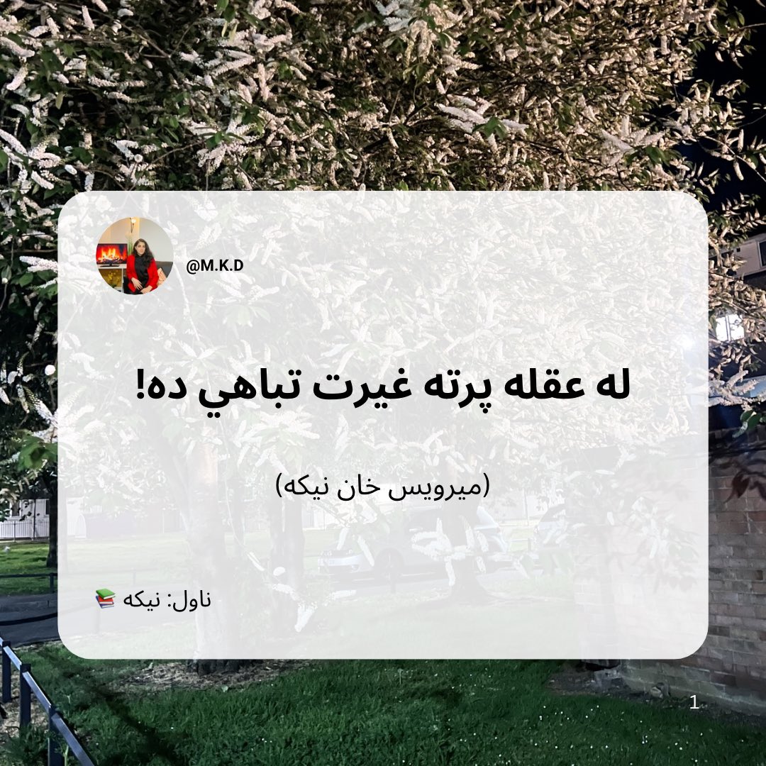 Meena Khan Dawran 🇦🇫 مینه خان دوران tweet media