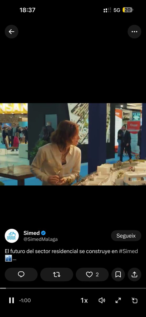 Carles Tamayo tweet media