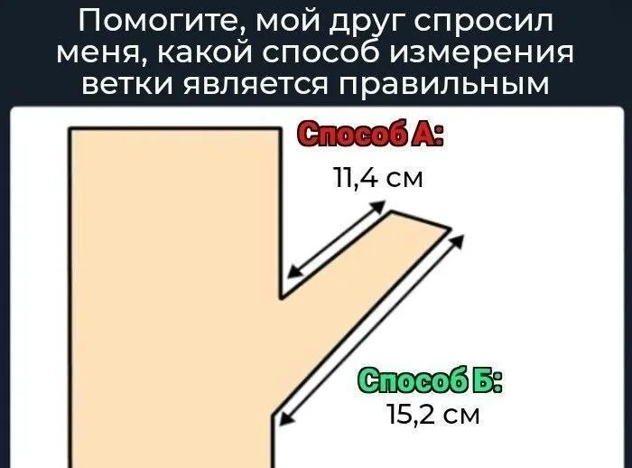 Заумный поварюга 🍳🍳🍳 (@abstruse_cook) on Twitter photo 
