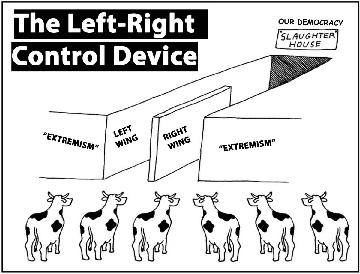 PinkCerberus's tweet image. The #Left #Right and #Extremism Control Device explained