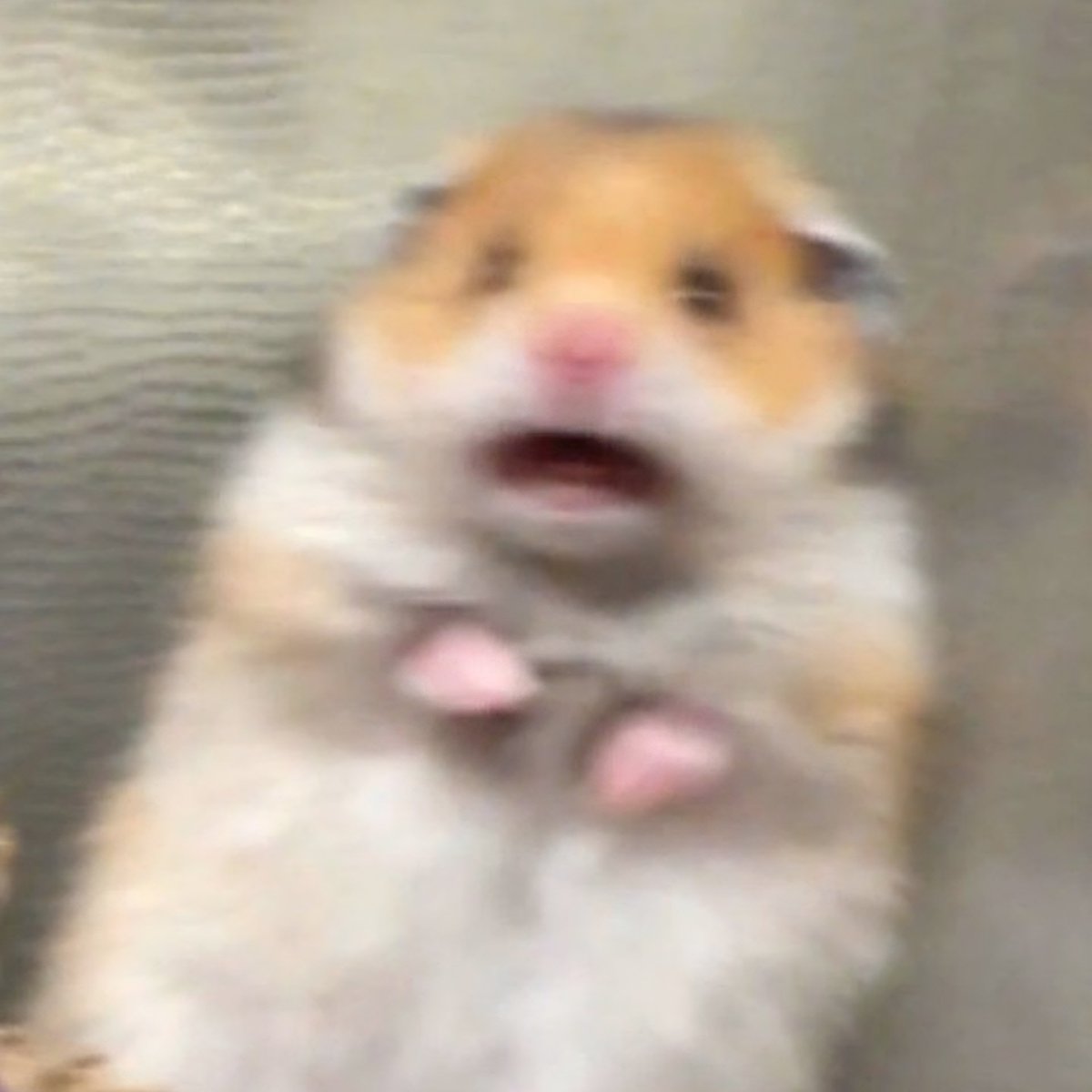 tׁׅυׁׅϐׁׅ֒υׁׅ tweet media