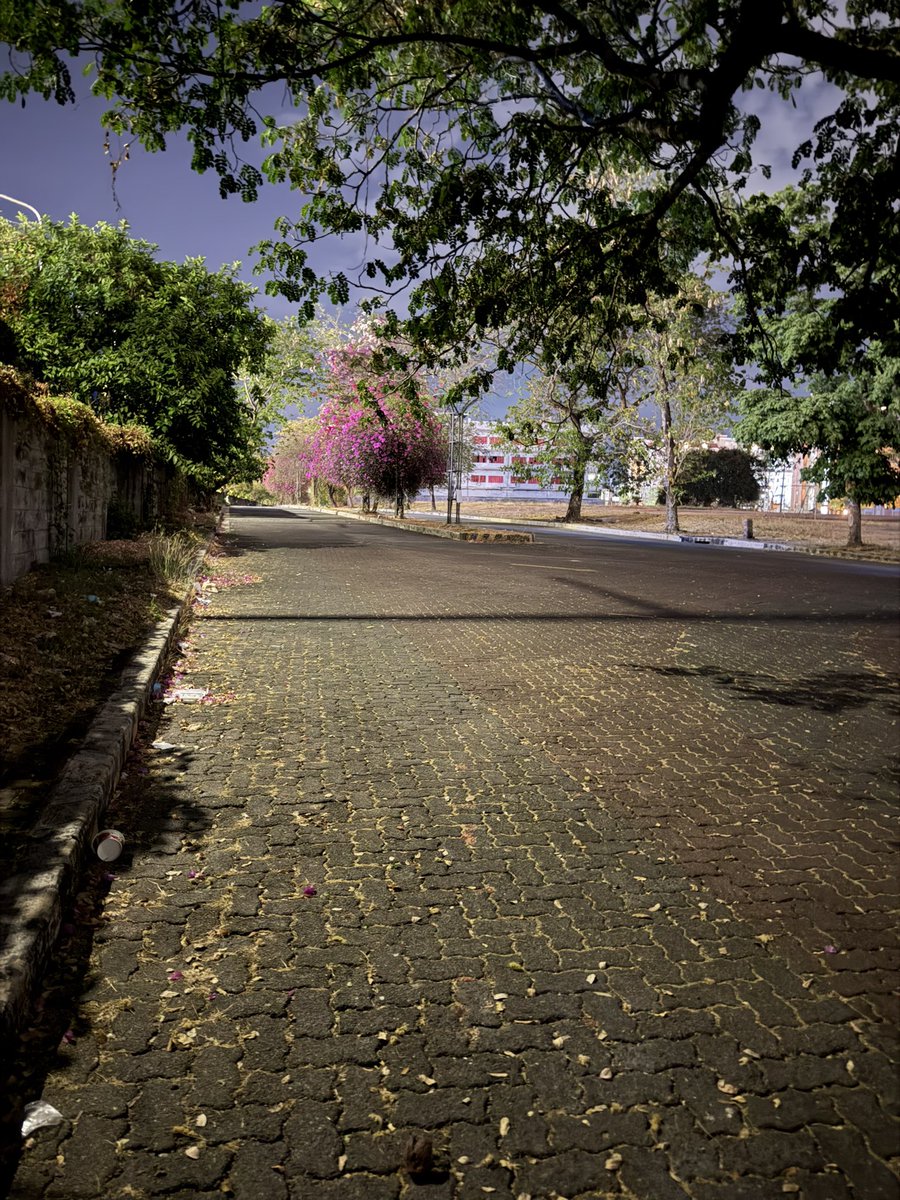 SuckerOutdoor's tweet image. Super linis ng paligid haha #neopolitan
#outdoorfun