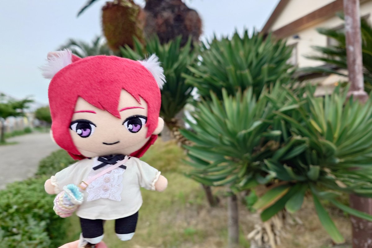 よんごちゃん (りんたん) tweet media